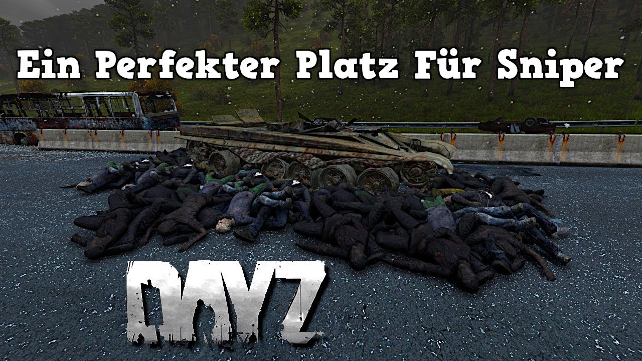 DayZ Valning #02 - Ein Perfekter Platz Für Sniper - Deutsch