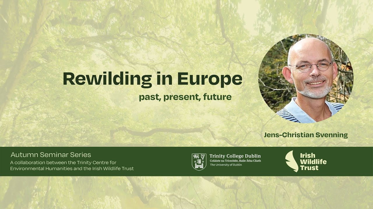 Rewilding in Europe | Past, Present, Future