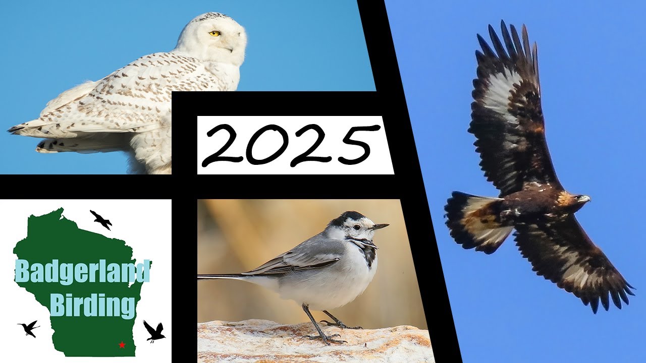 2025 First of the Year Birding Challenge
