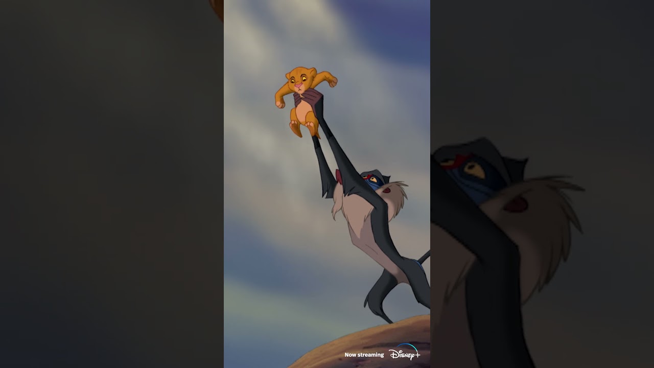 Circle Of Life (From 