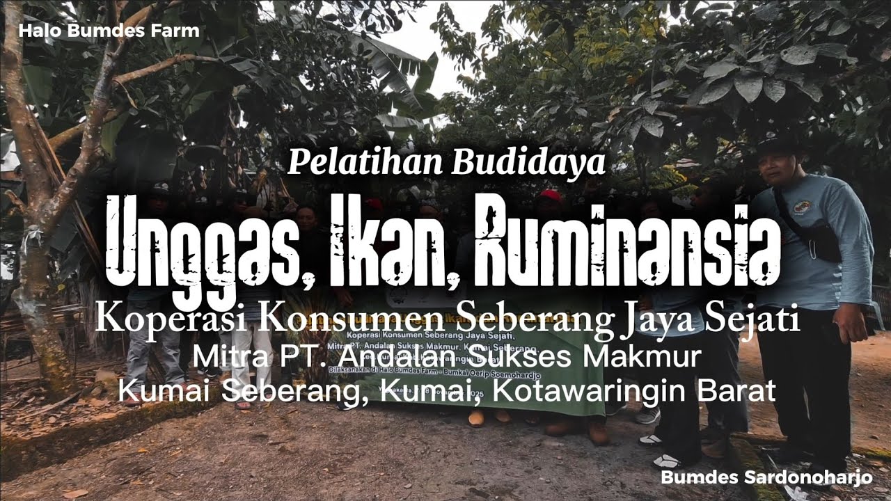 Halo Bumdes Farm - Pelatihan Budidaya Unggas, Ikan, Ruminansia Koperasi Seberang Jaya Sejati Kumai