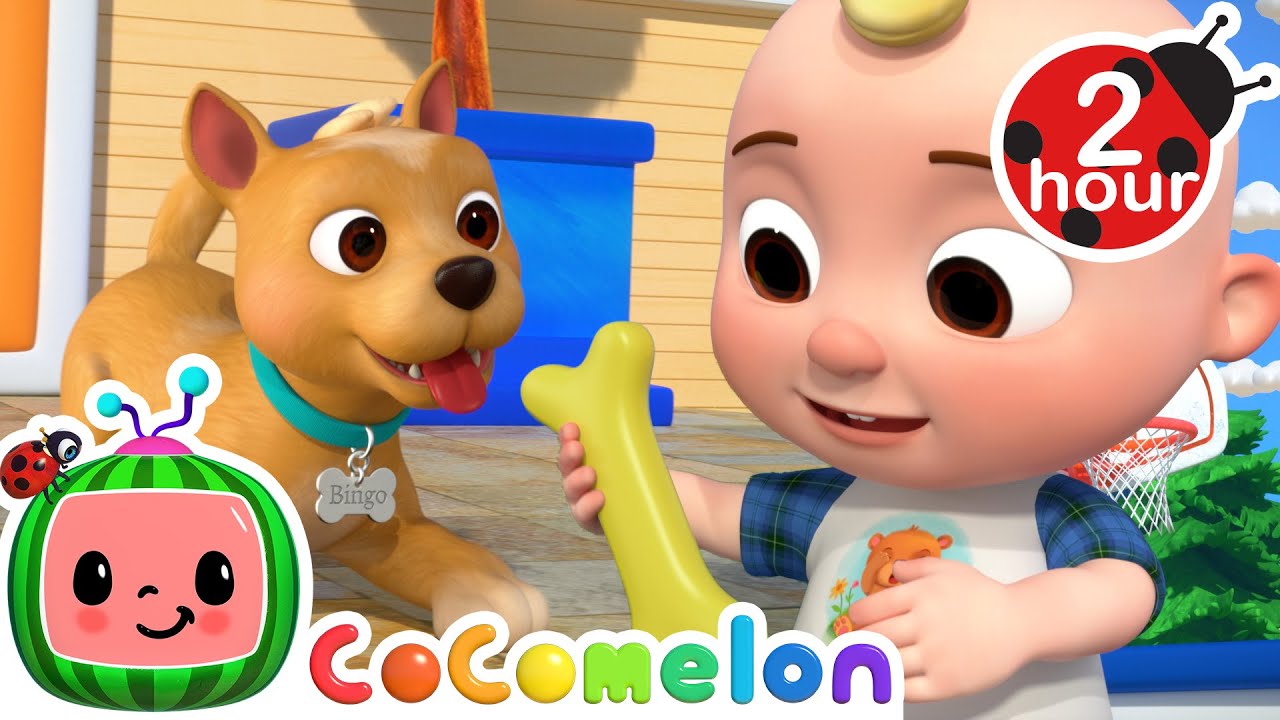 This is the Way (Bingo's Song) 🐶 CoComelon - Nursery Rhymes + Kids Songs | After School Club