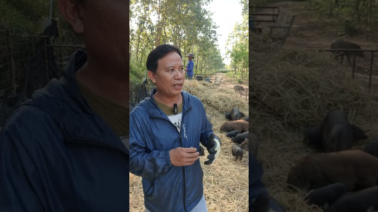 จะเป็นจริงไหม?อาชีพและผืนดินเกษตรกรจะมีค่าดุจทองคำในอานาคต #farming #foodsecurity #บ้านทับตะวัน 