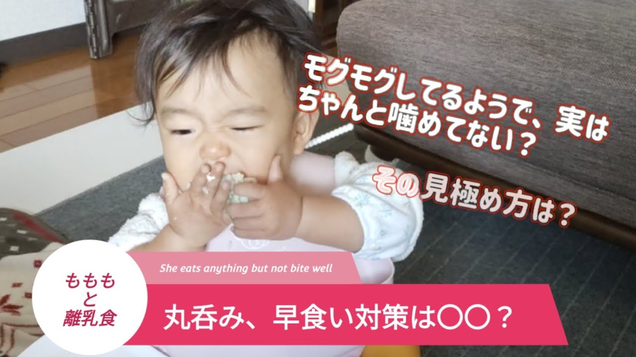 【離乳食】赤ちゃんの早食い、丸のみ対策おすすめ3選！もぐもぐ期に注意することや前歯で齧ってもらうには？　＃子育て　＃1歳　#モグモグ期