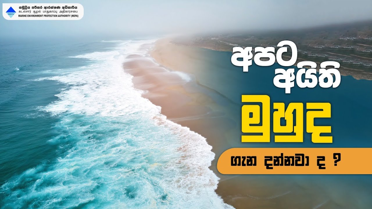 අපට අයිති මුහුද ගැන මේ දේවල් ඔබ දන්නවාද? Learn about the sea #sea #marine #marinelife #srilanka
