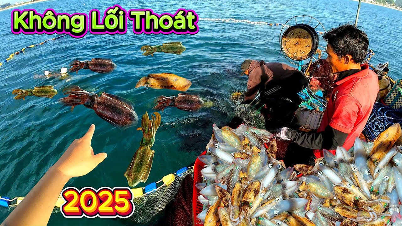 Mãn Nhãn Nghề làm Chà Vây Mực lá || 400k /1kg Của Ngư Dân Tân Trà TP Đà Nẵng