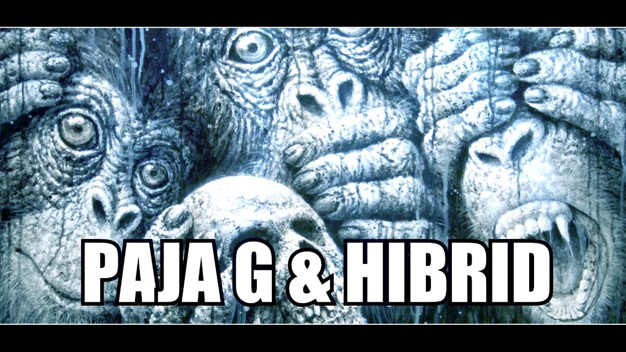 Wanted Paja - G feat Hibrid - Becsület / 2015
