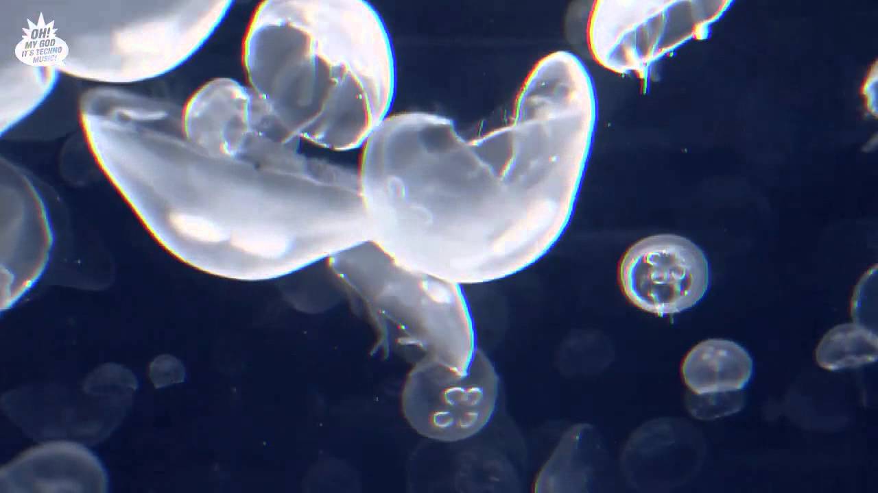 F.O.O.L - Invasion (Official Video)
