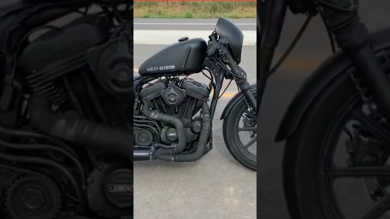 Harley Davidson Ladies
