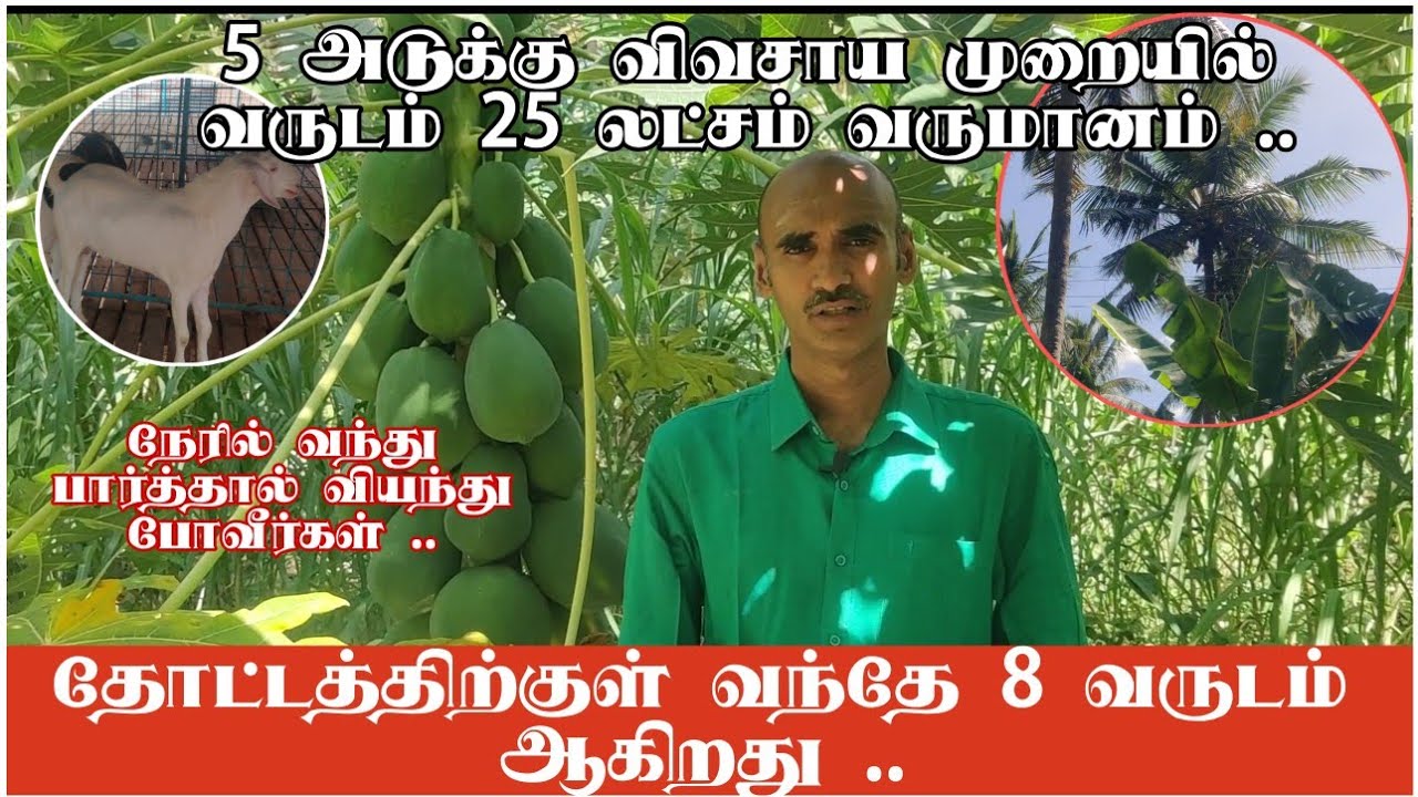 பேராசிரியரின் 5 அடுக்கு விவசாயம் / முடிந்தால் ஒரு முறை சென்று பாருங்கள் ??