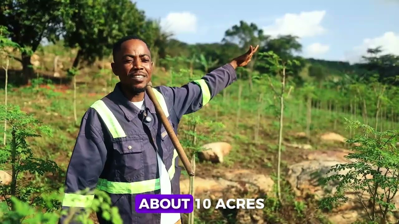 Mago Farms - Short Movie