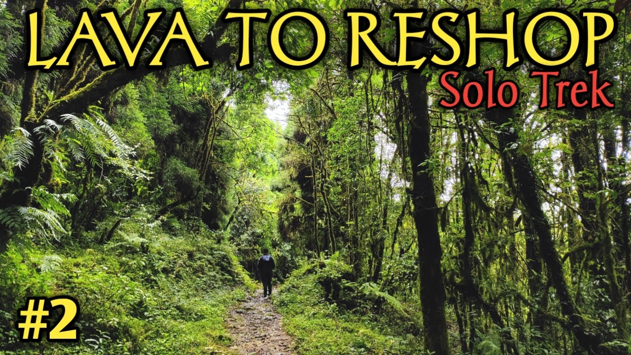 Lava Lolegaon Rishop Kalimpong Tour | Lava To Rishop Trek | Kalimpong Tour | Rishop Tour | Lolegaon