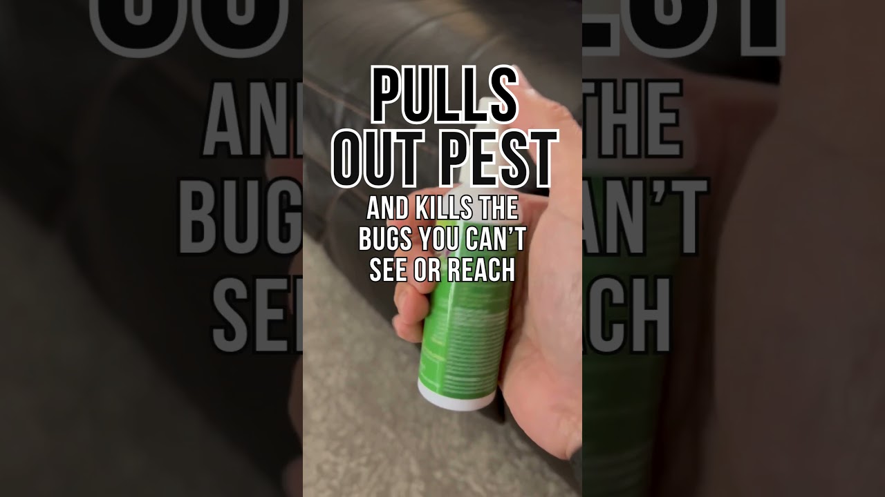 Fleas in House? Resorts Do This & It Works