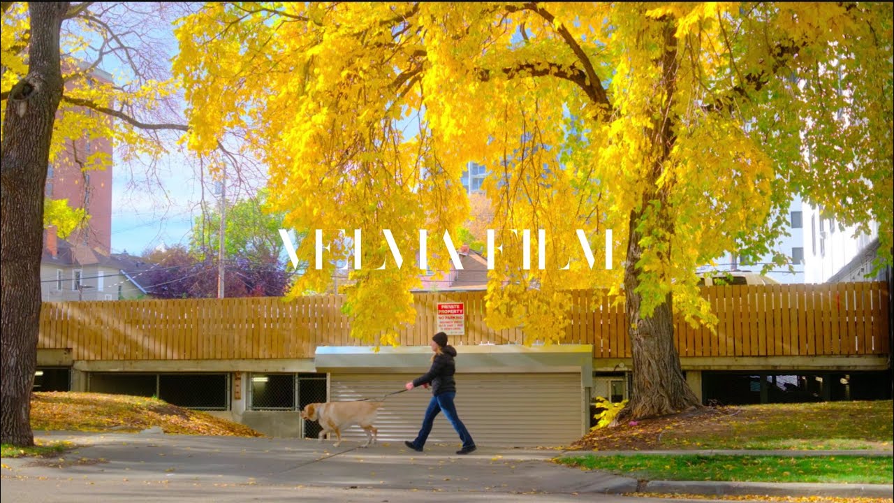FUJIFILM Velvia Film Recipe | Vibrant Fall Colors in Early October | X-T5 X-T50 X100VI X-M5 X-E5