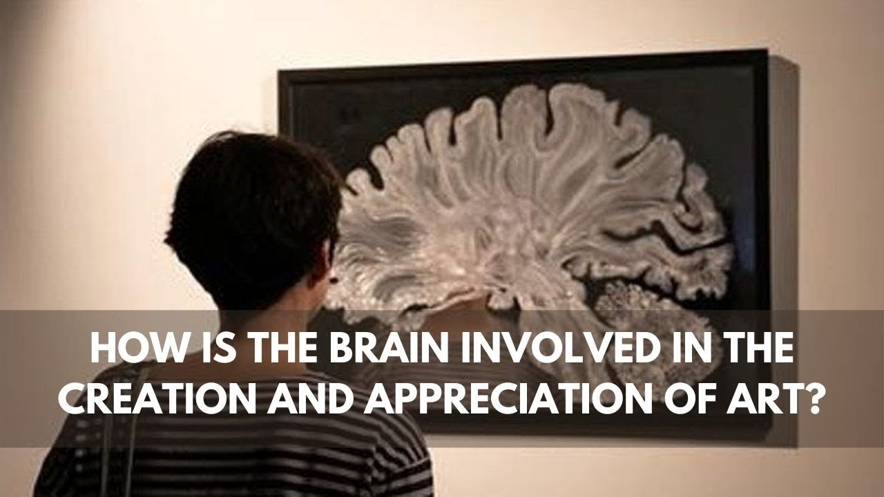 How is the brain involved in the creation and appreciation of art?