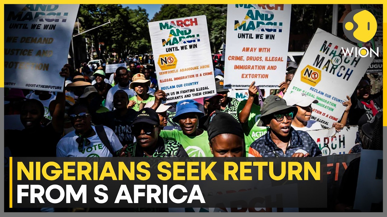 Nigeria Plans Evacuation Flights From South Africa | WION News