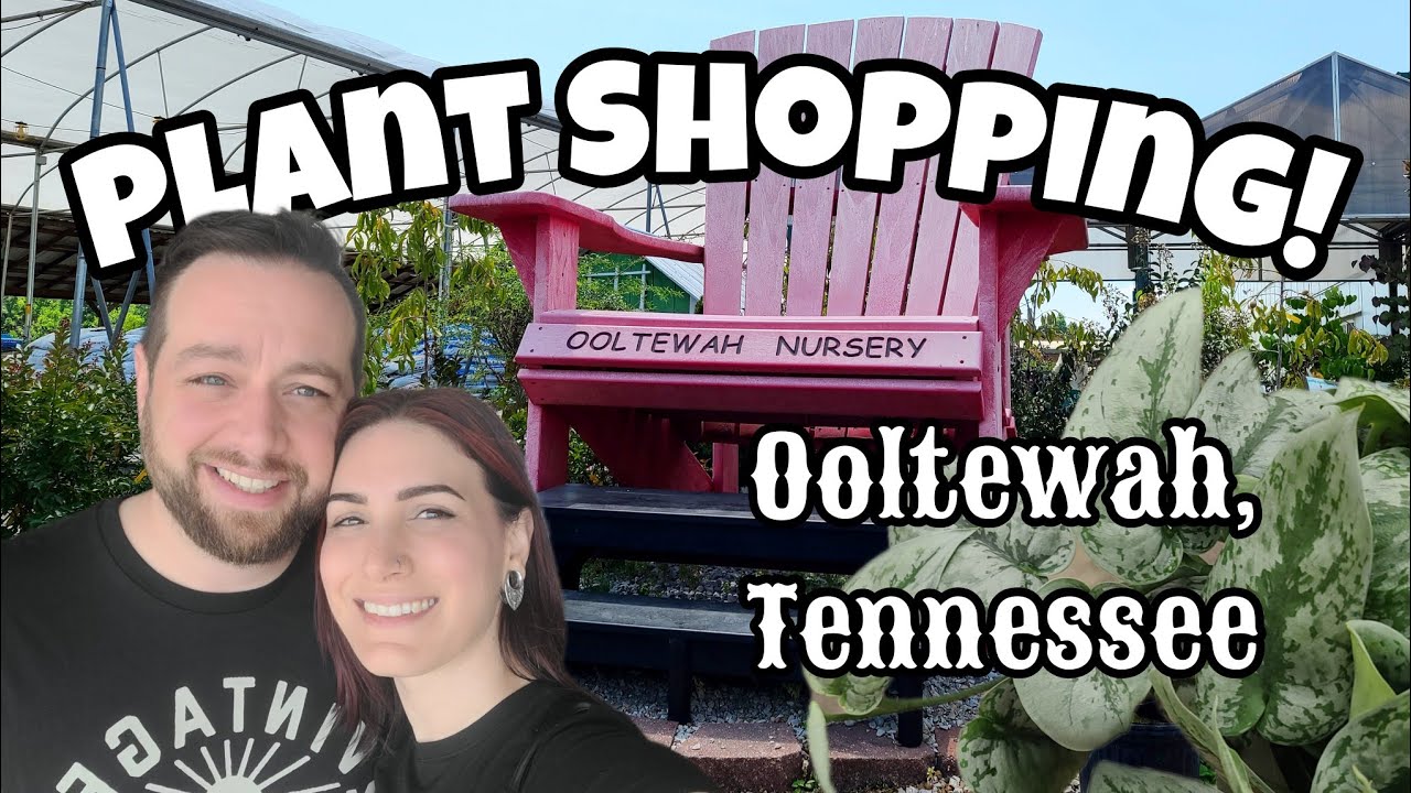 Ooltewah Nursery in Tennessee!! 🌿 small, but cute nursery with lots of pottery! ✨️ PLANT SHOPPING