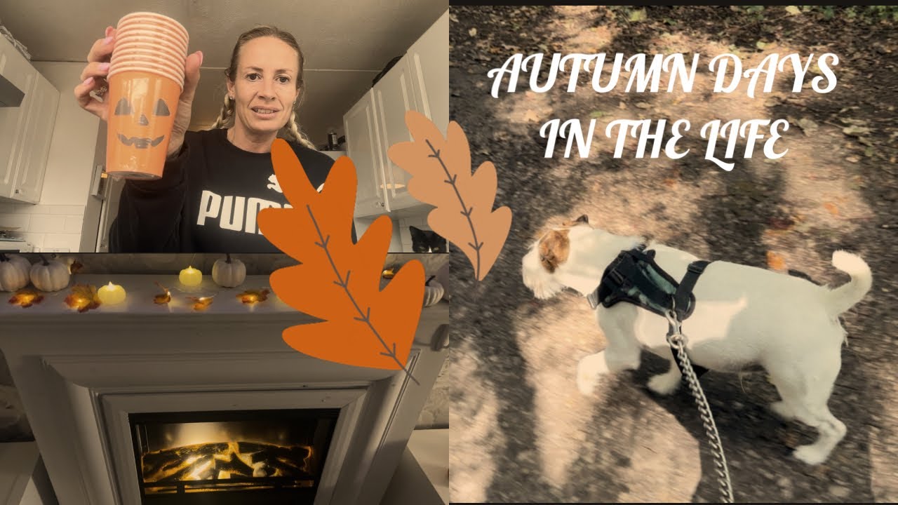 Autumn day’s baking, dog walks, home bargains