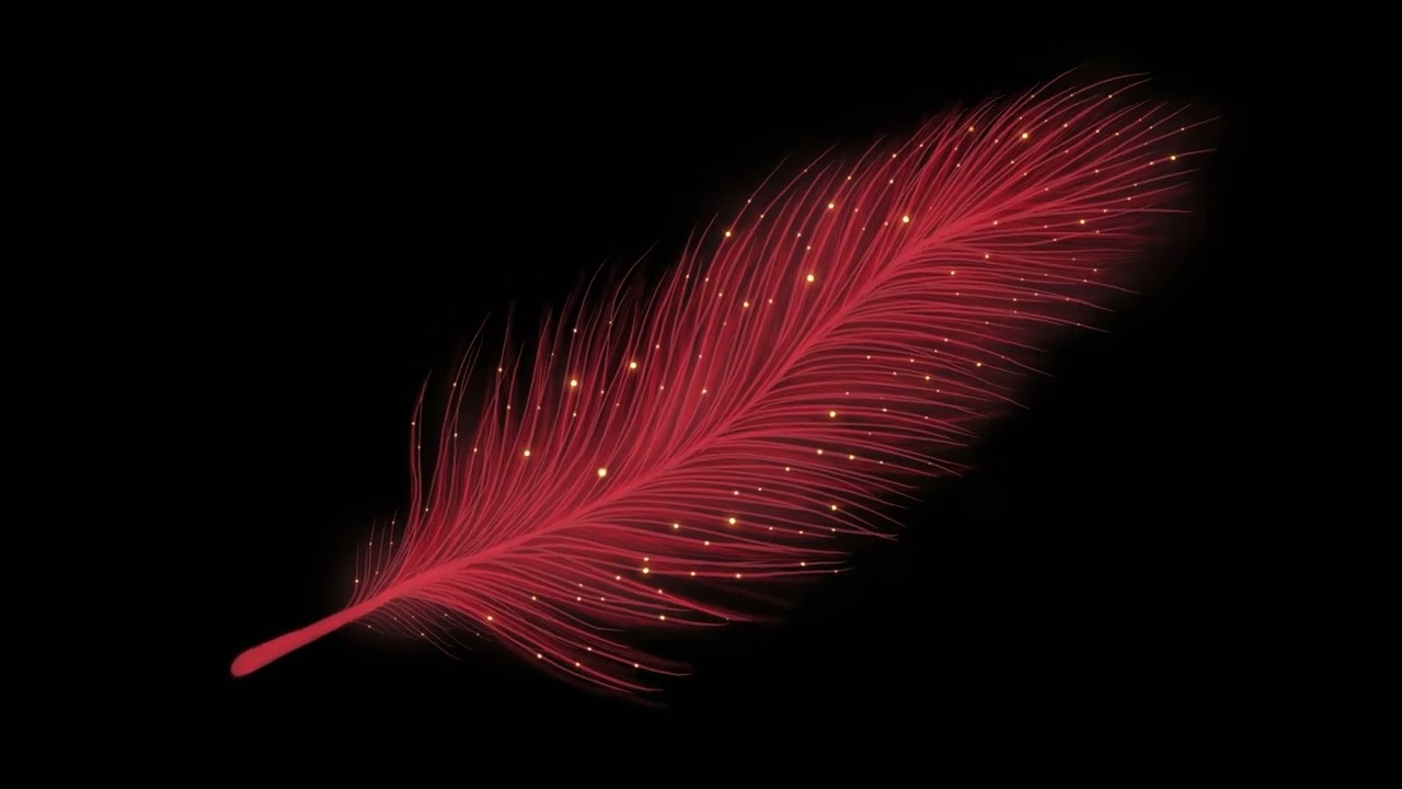 Orange Feather Animated Loop | Creative Flow Music | Background