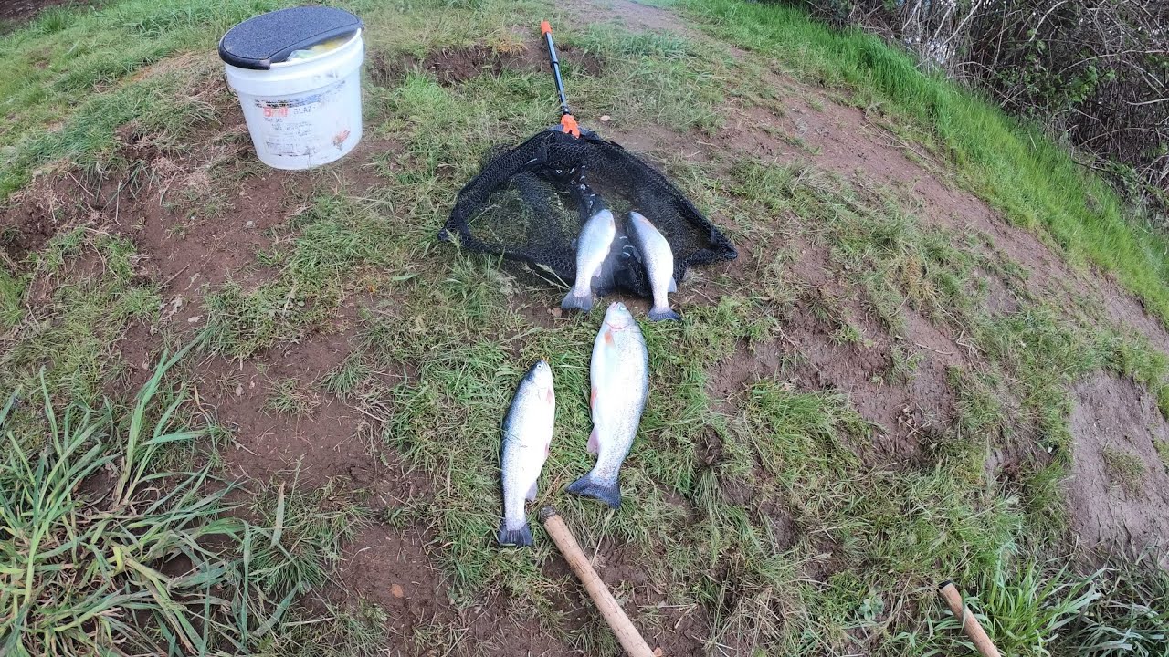 SPRING TROUT FISHING at HENRY HAGG LAKE! *TROPHY TROUT*