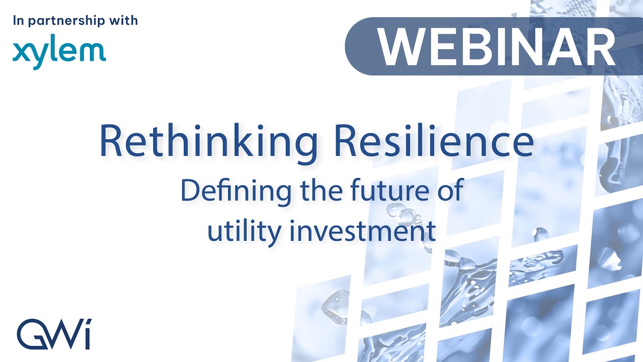 Rethinking Resilience: Defining the Future of Utility Investment