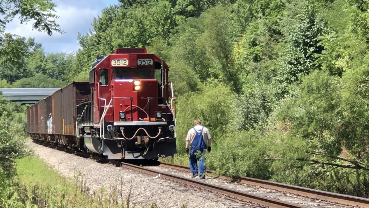 Train Has To Make Sudden Stop For Tree On Tracks!  Engineer Has To Cut Tree With Stihl Chainsaw!