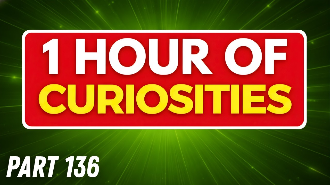 1 HOUR of AMAZING Random FACTS That Will Definitely Surprise You😲