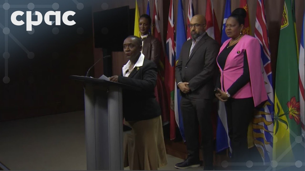 Members of UN forum on people of African descent hold a news conference – February 20, 2026