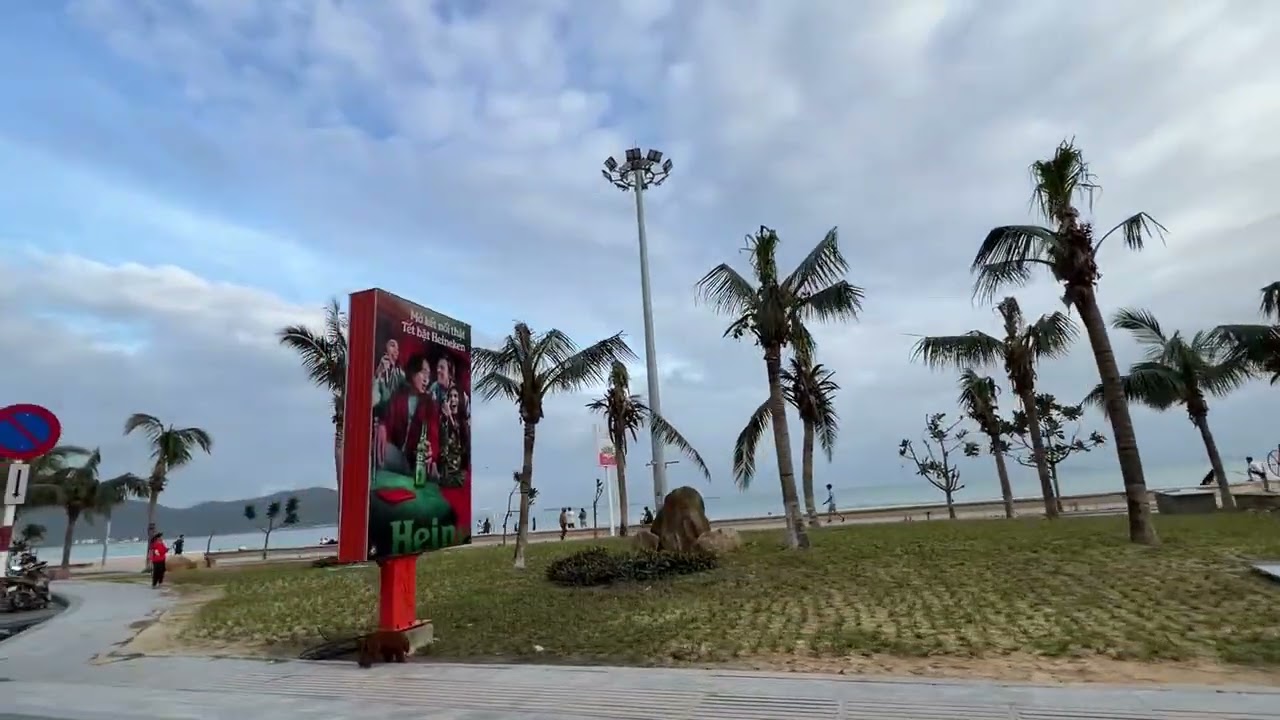 Nếu vậy tôi thất bại. Quy Nhơn sau bão