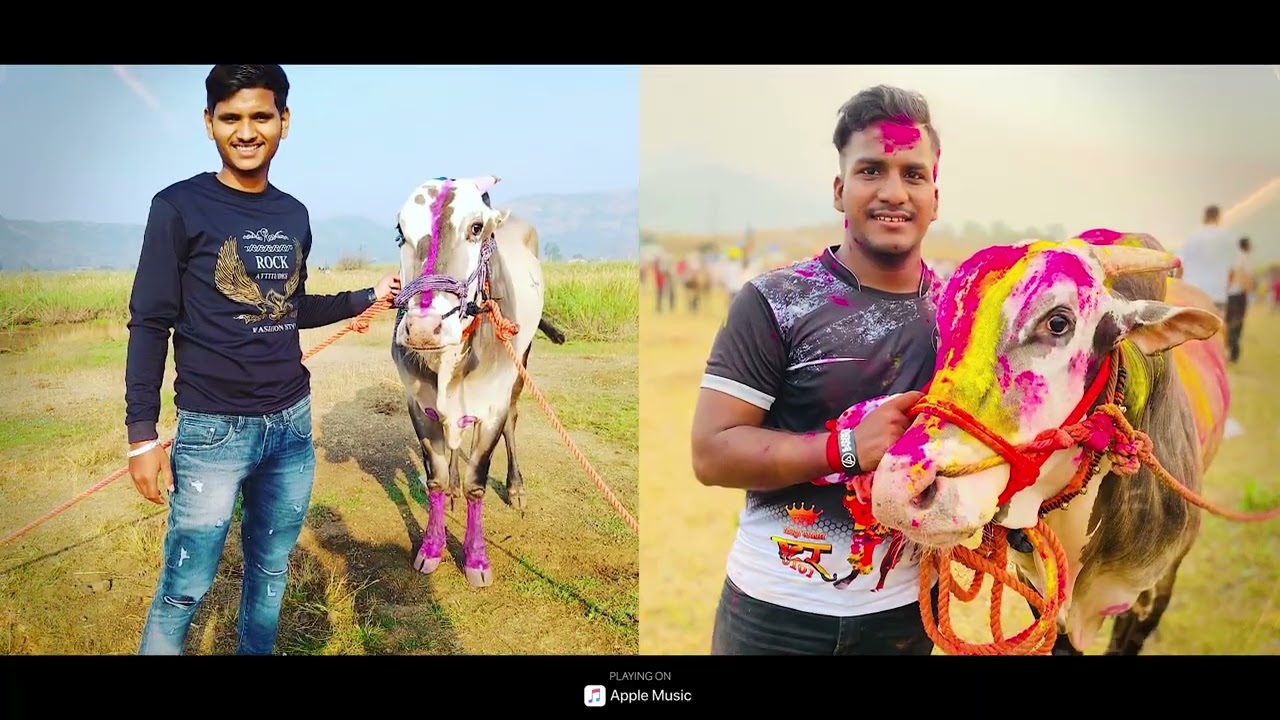 दरारा ठेवलाय बटर वाघानी | DARARA THEVALAY BATAR VAGHANI | AJAY GAIKWAD