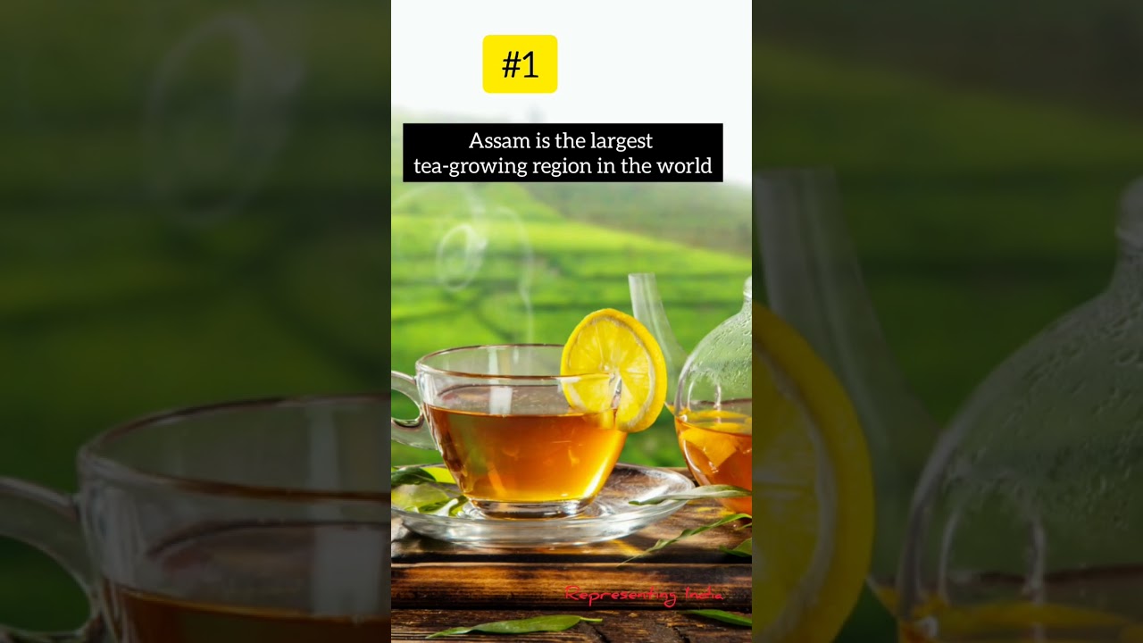 5 Facts about Assam Tea|| 200 years of Assam Tea|| #awesomeassam #northeastindia