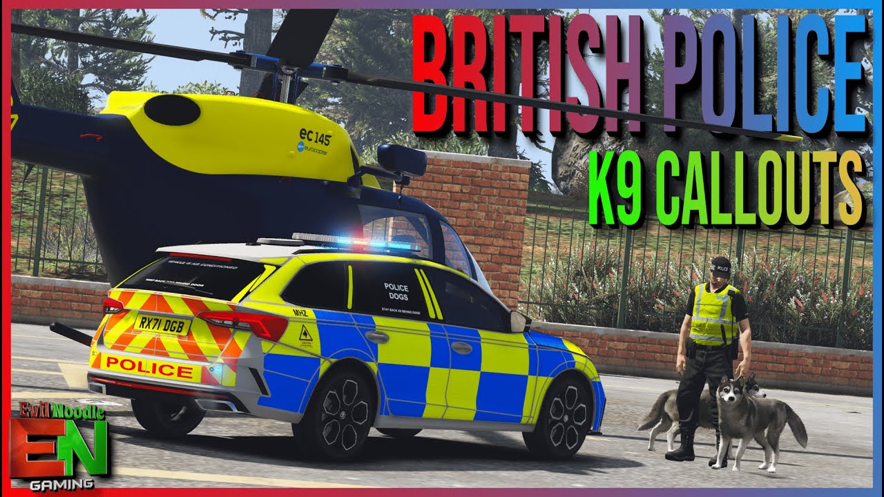Unprofessional Helicopter Flying in K9 Callouts (GTA 5 MODS) LSPDFR