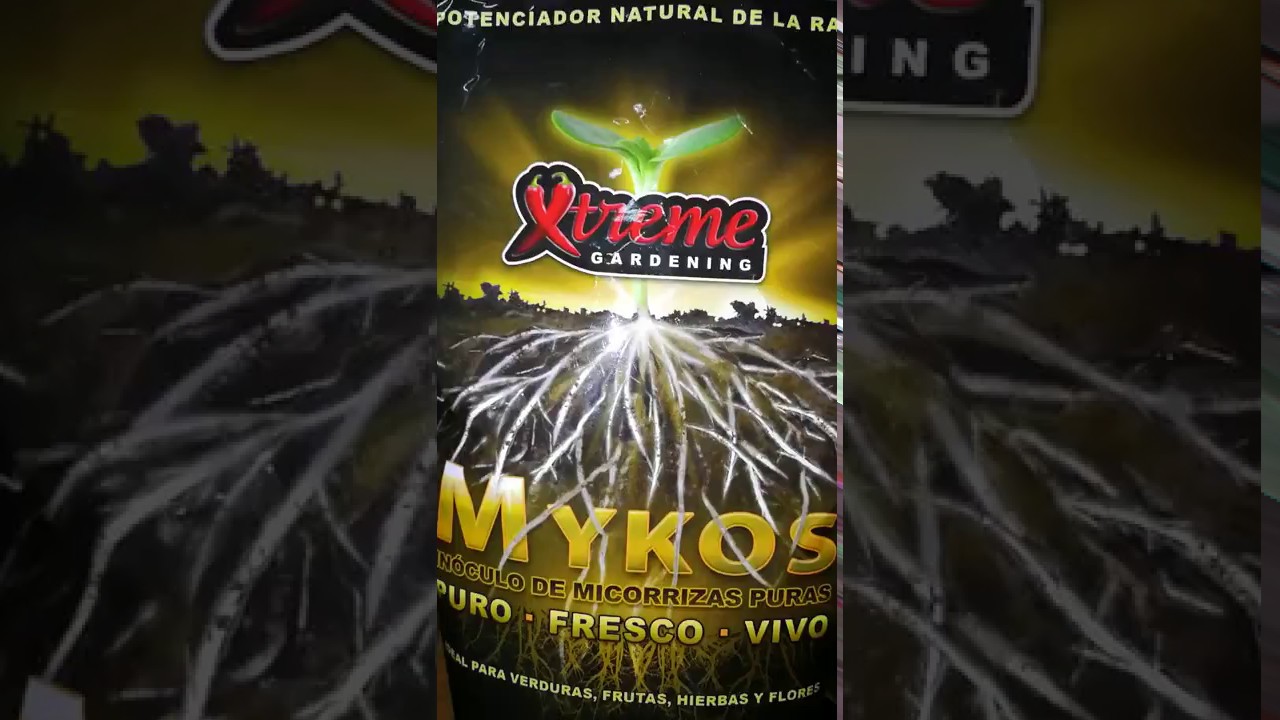 Mykos