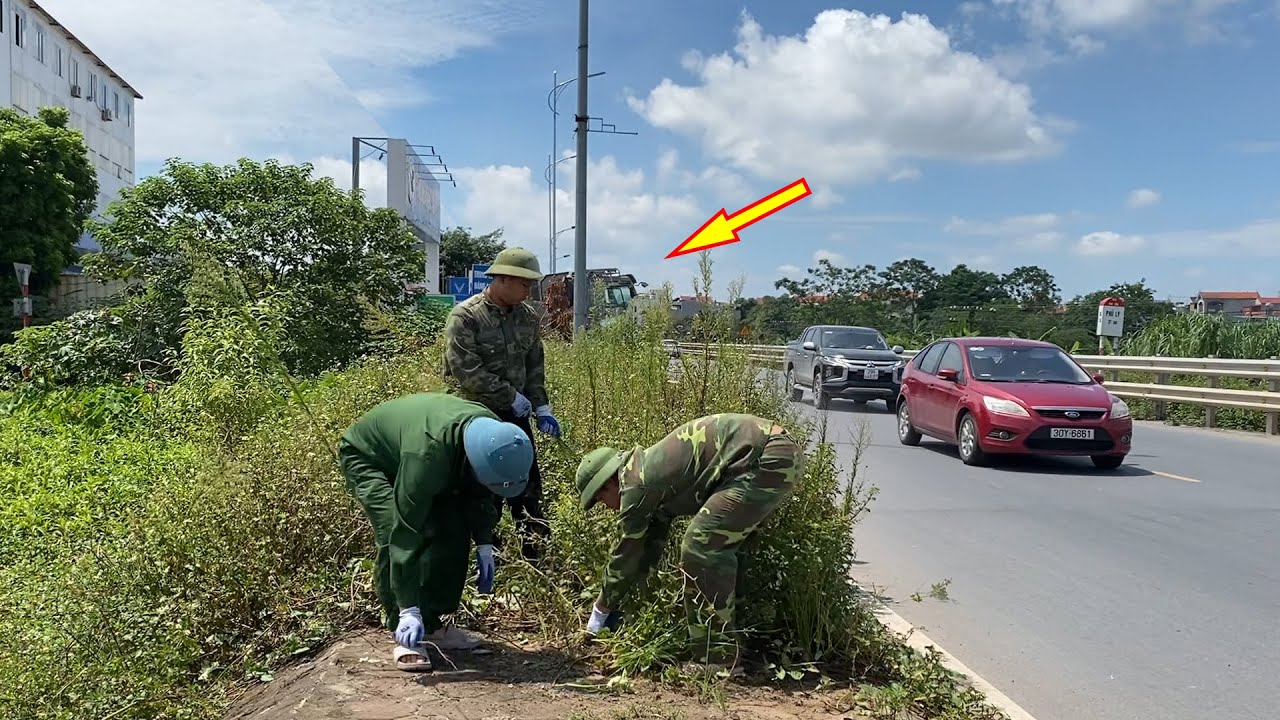 Clean Up Overgrown Grass That Blocks Visibility And Causes Dangerous Accidents At Intersections