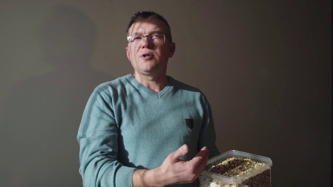 AIDI POLSKA - Marek Trzaska - wprowadzenie