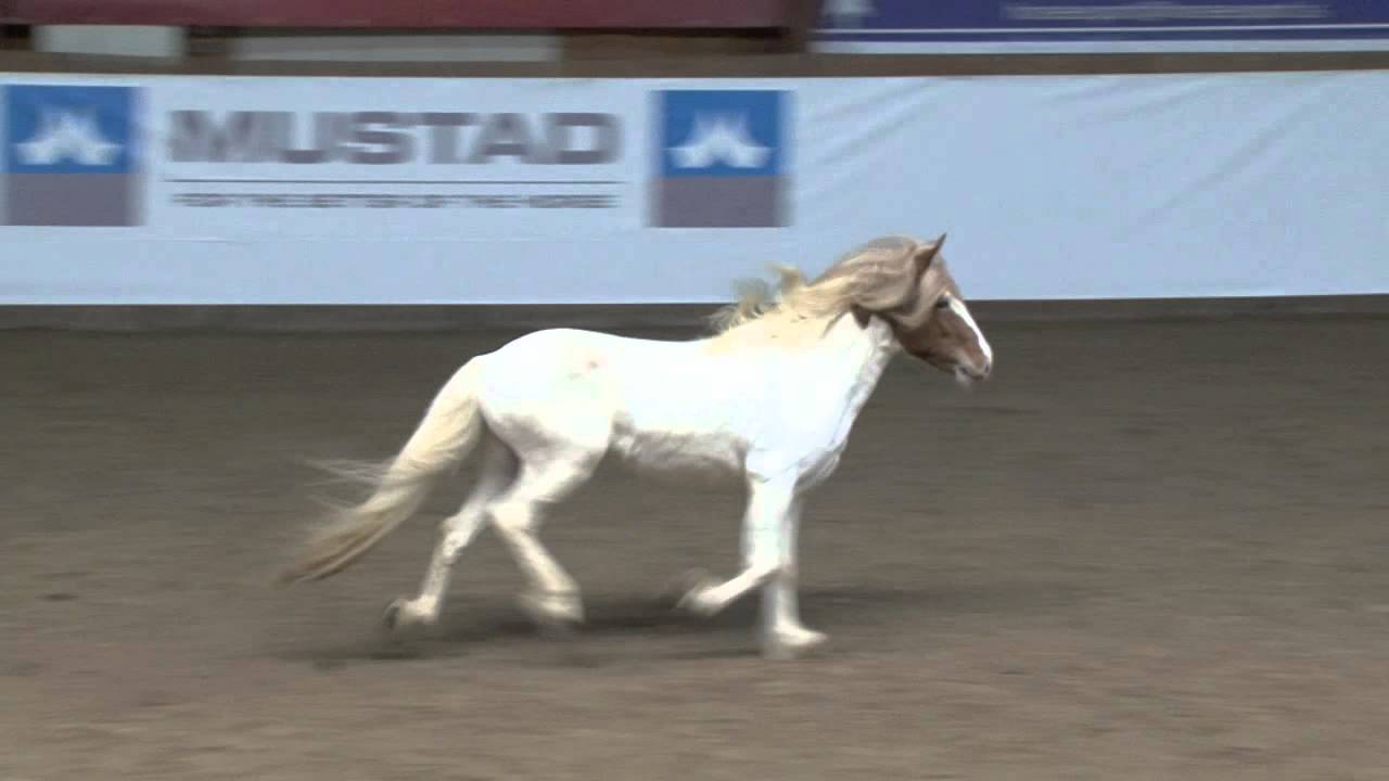 Lukku Laki fra Stora Vatnsskardi