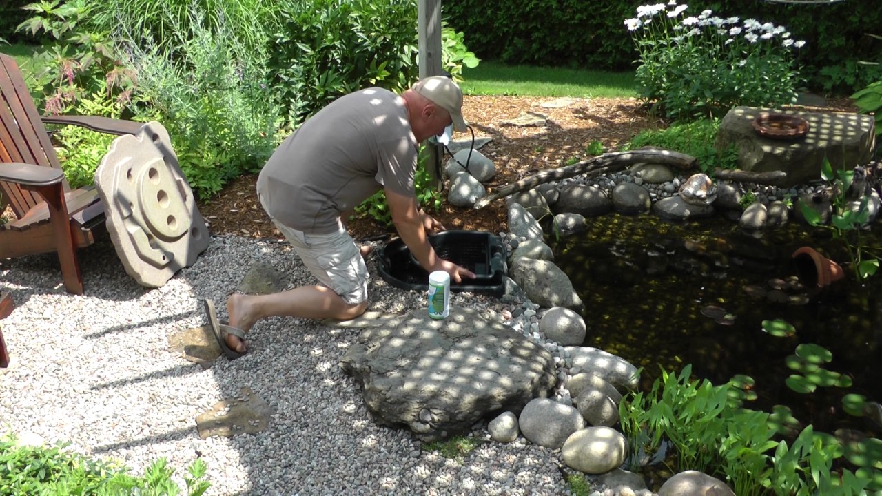 Les jardins d'eau