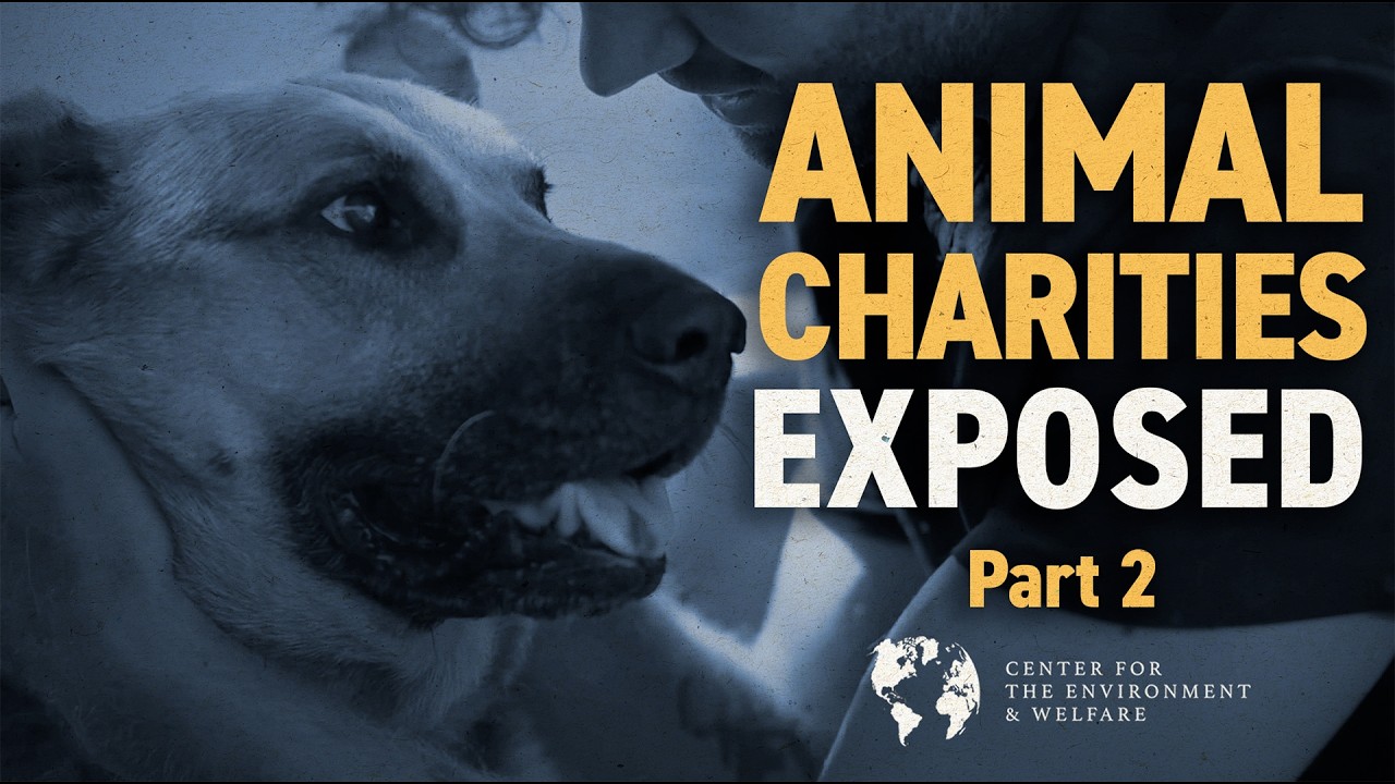 Animal Charities Exposed Part 2: Is Your Donation Funding a Radical Agenda?