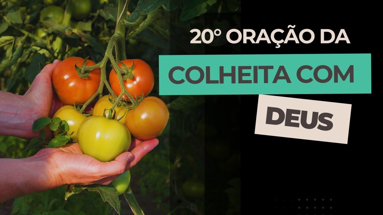 20° ORAÇÃO DA COLHEITA COM DEUS