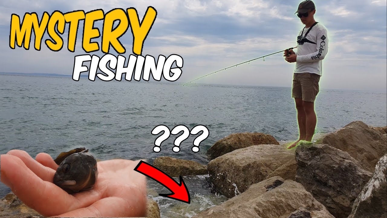 Fishing between huge boulders for mystery fish! (Dorset, UK)