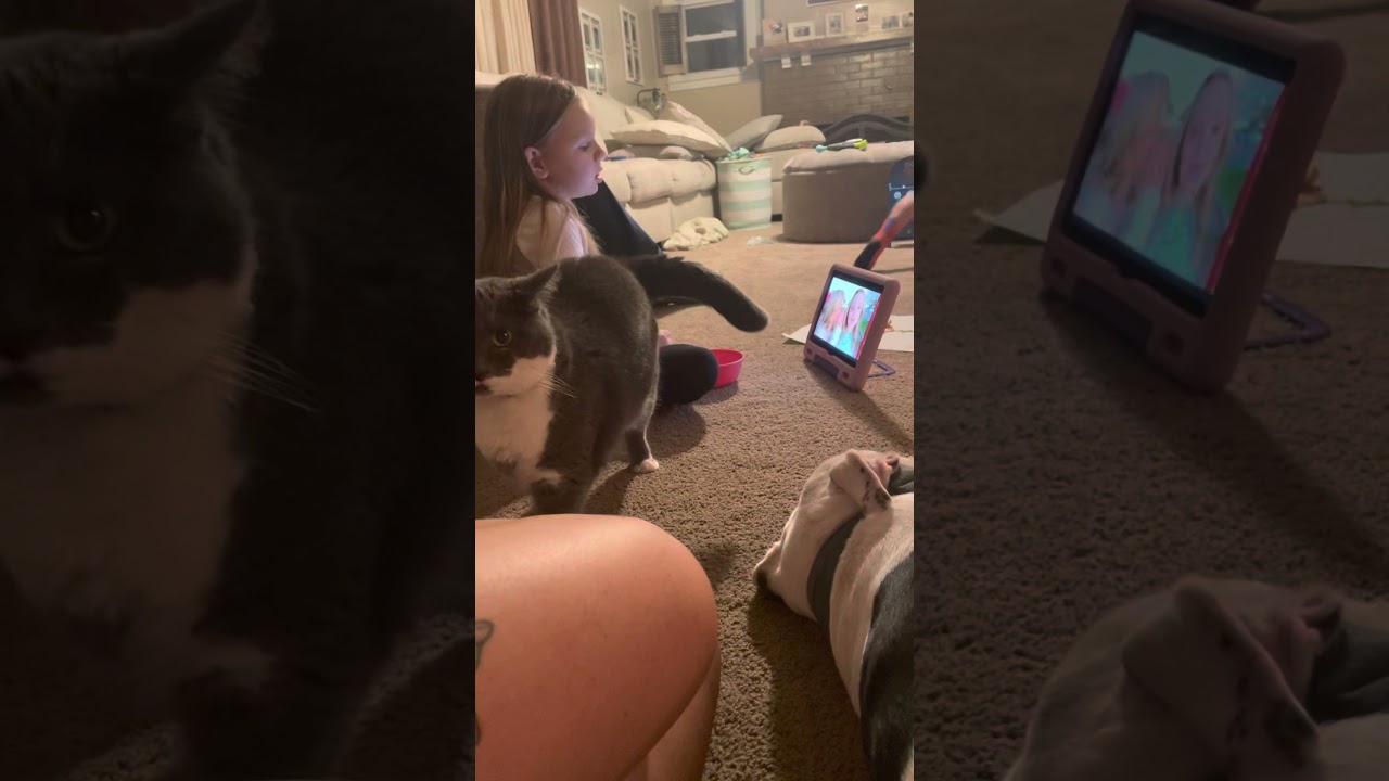 Rowan Marshall - Friends Forever