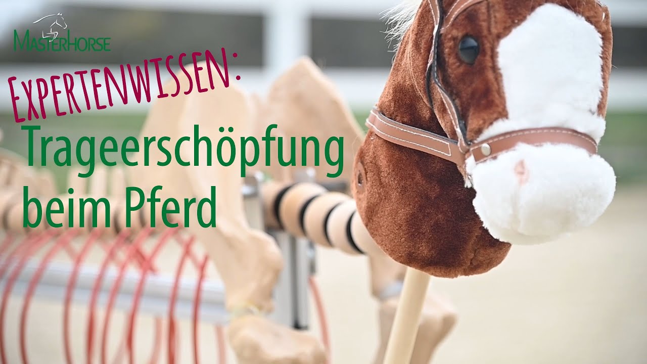 Trageerschöpfung beim Pferd / MASTERHORSE Expertenwissen