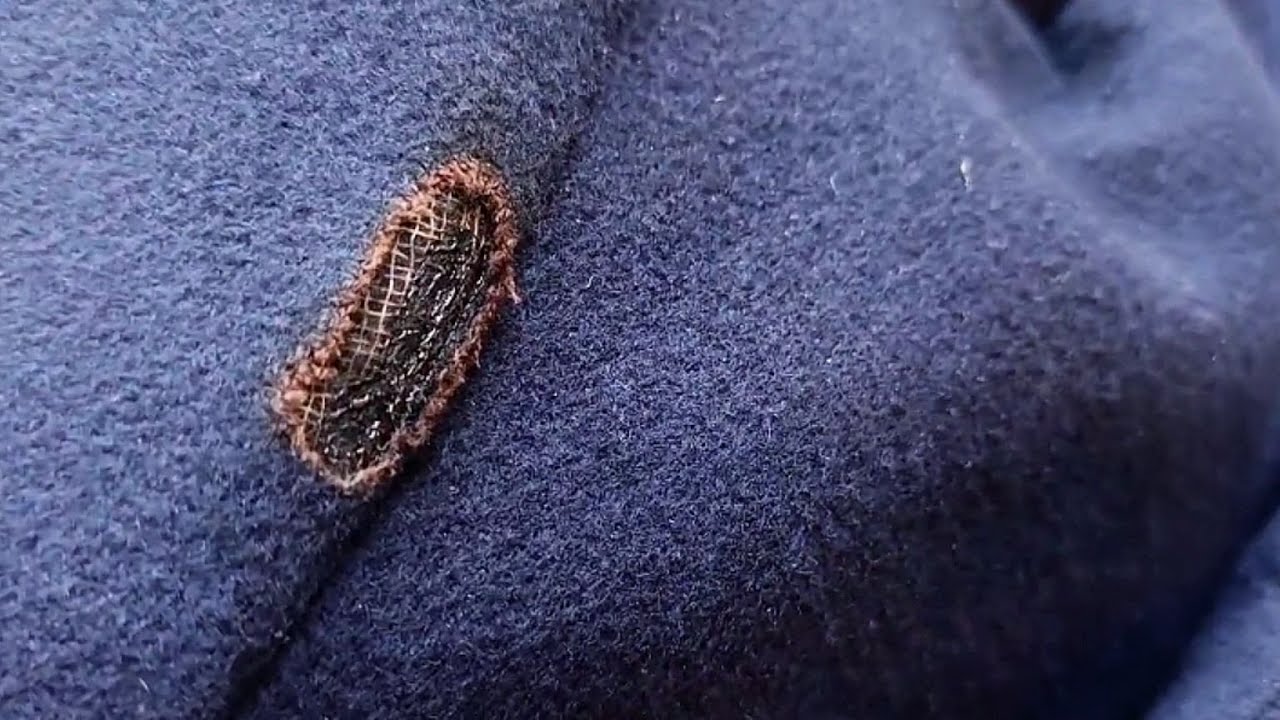Learn How to Perfectly Repair a Hole in a Cashmere Coat, It's Too Easy