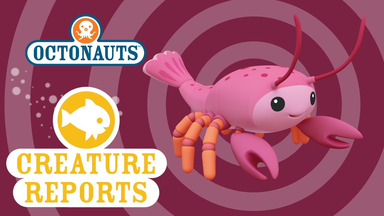 Octonauts: Creature Report - Reef Lobster