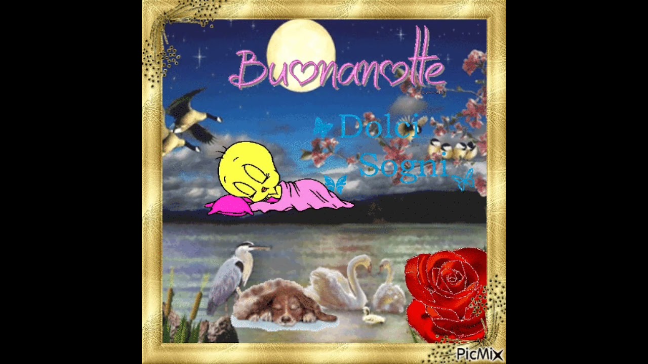 Buonanotte GIF