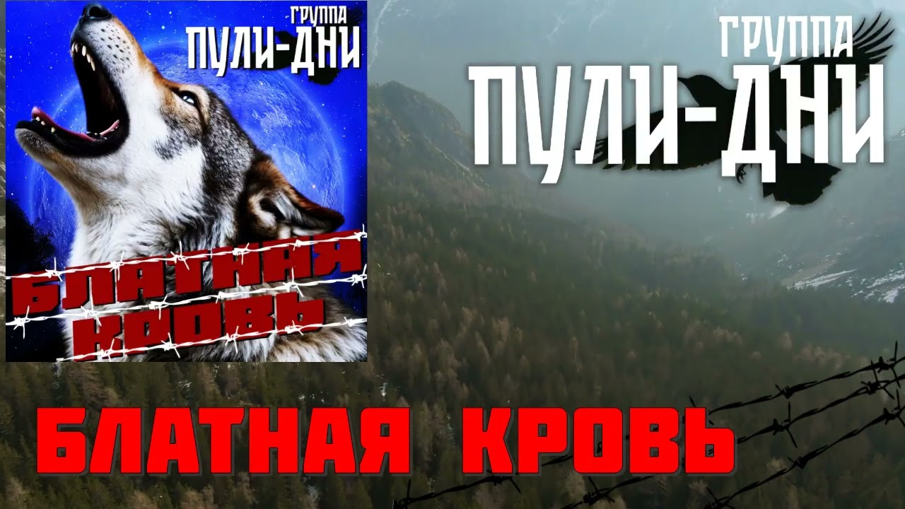 Группа Пули Дни   Блатная Кровь