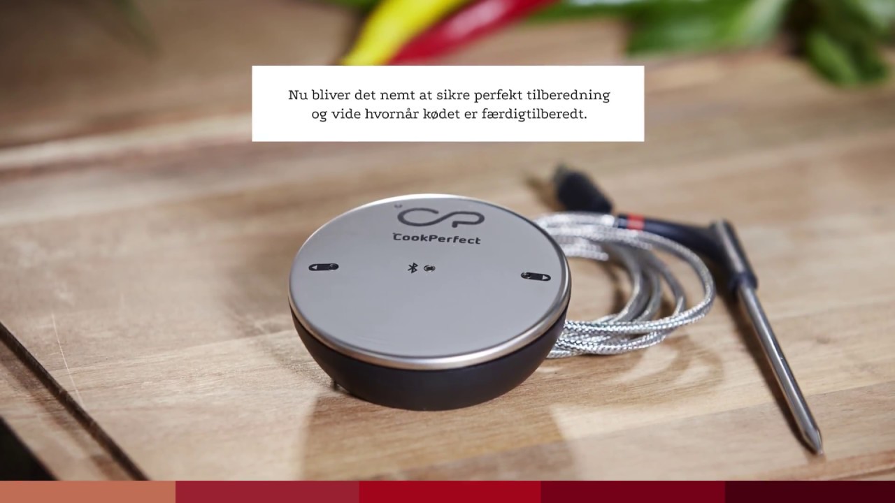 CookPerfect stegetermometer
