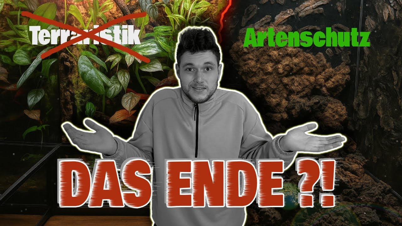 Mein Beitrag zum ARTENSCHUTZ - Kein Terrarium mehr?