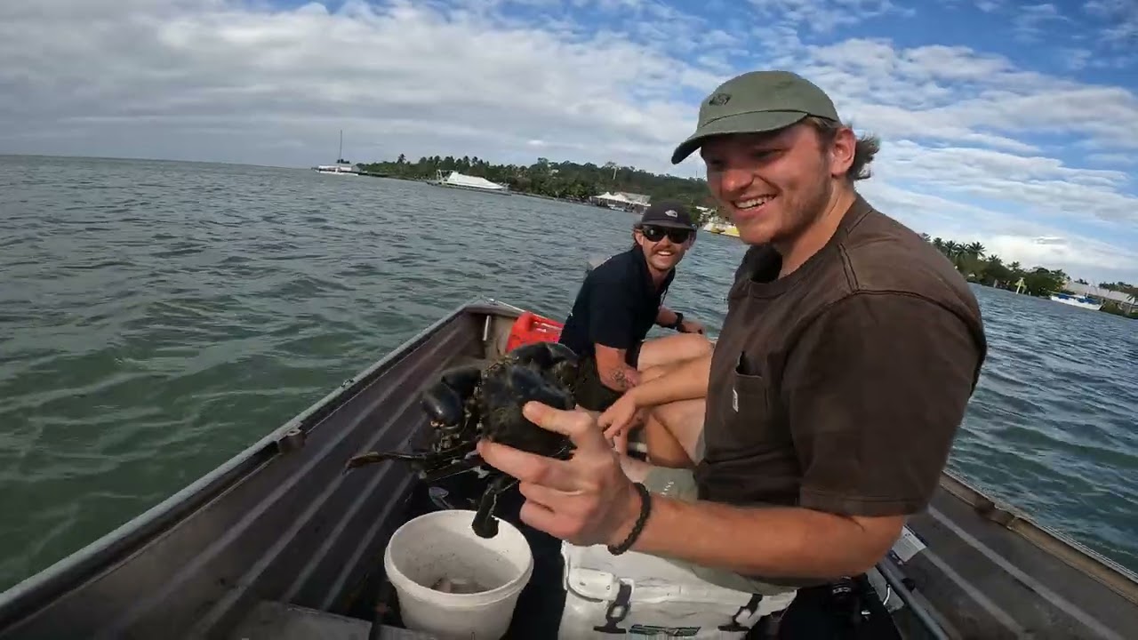 Australia - Road Trip (From Daintree National Park to Mackay) East Coast
