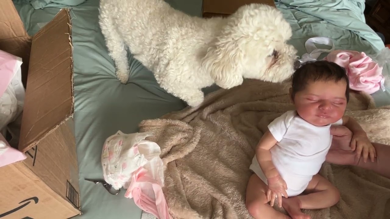 2 распаковки коробок: 1 видео